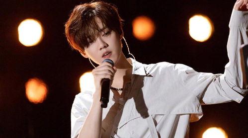 鹿晗韩国爆料视频合集在线观看,韩国爆料视频合集深度解析  第2张