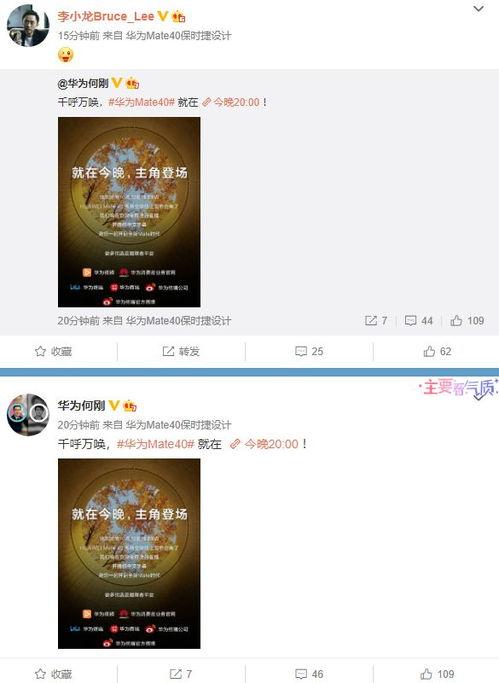 爆料视频集锦下载,热点事件背后的真相与思考