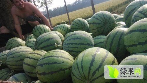 汾阳吃瓜最新事件爆料,揭秘背后惊人真相 第3张 汾阳吃瓜最新事件爆料,揭秘背后惊人真相 第3张